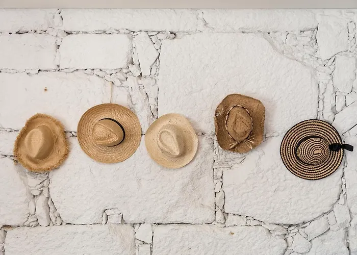 Clerigos Design By Hosty *