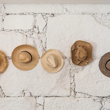 Clerigos Design By Hosty *